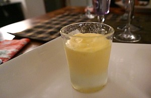 Mousse_glacée_passion_600